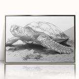 Framed acrylic wall art showcasing a marine life turtle design in vibrant colors, featuring a sleek silver frame, perfect for ocean-themed decor.