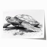 Vibrant marine life wall art print featuring a detailed turtle design, showcasing rich blues and greens, rolled and ready for framing in a protective tube.