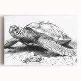 Stretched canvas wall art depicting a vibrant marine life scene featuring a majestic turtle swimming among colorful coral reefs, perfect for ocean-themed decor.