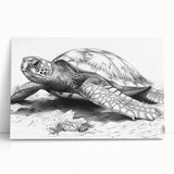 Colorful marine life wall art featuring a turtle design on stretched canvas, leaning against a wooden surface, perfect for coastal home decor.