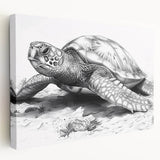 Colorful marine life wall art featuring a detailed turtle design on stretched canvas, showcasing vibrant blues and greens, perfect for ocean-themed decor.