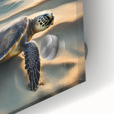 Close-up of a vibrant marine life wall art design featuring a graceful turtle, printed on acrylic glass. This unique piece showcases intricate details and vivid colors, perfect for ocean-themed decor.