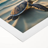 Vibrant rolled canvas art featuring a detailed marine life turtle design, showcasing intricate colors and textures, ideal for ocean-themed decor and nature lovers.