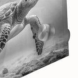Close-up of a vibrant acrylic wall art piece showcasing a marine life turtle design, perfect for ocean-themed decor. This intricate artwork captures the beauty of sea turtles against a bright, colorful background, ideal for enhancing living spaces or coastal interiors.