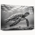 Vibrant marine life wall art showcasing a detailed turtle design on acrylic glass, elegantly displayed from the side with visible mounting pins, perfect for ocean-themed decor.