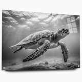 Vibrant marine life wall art showcasing a detailed turtle design on acrylic glass, elegantly displayed from the side with visible mounting pins, perfect for ocean-themed decor.