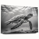Colorful marine life wall art featuring a turtle design printed on acrylic glass, showcasing vibrant blues and greens, perfect for ocean-themed decor.