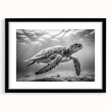 Framed wall art featuring a detailed marine life turtle design, showcasing vibrant colors on a black mat, perfect for ocean-themed decor.