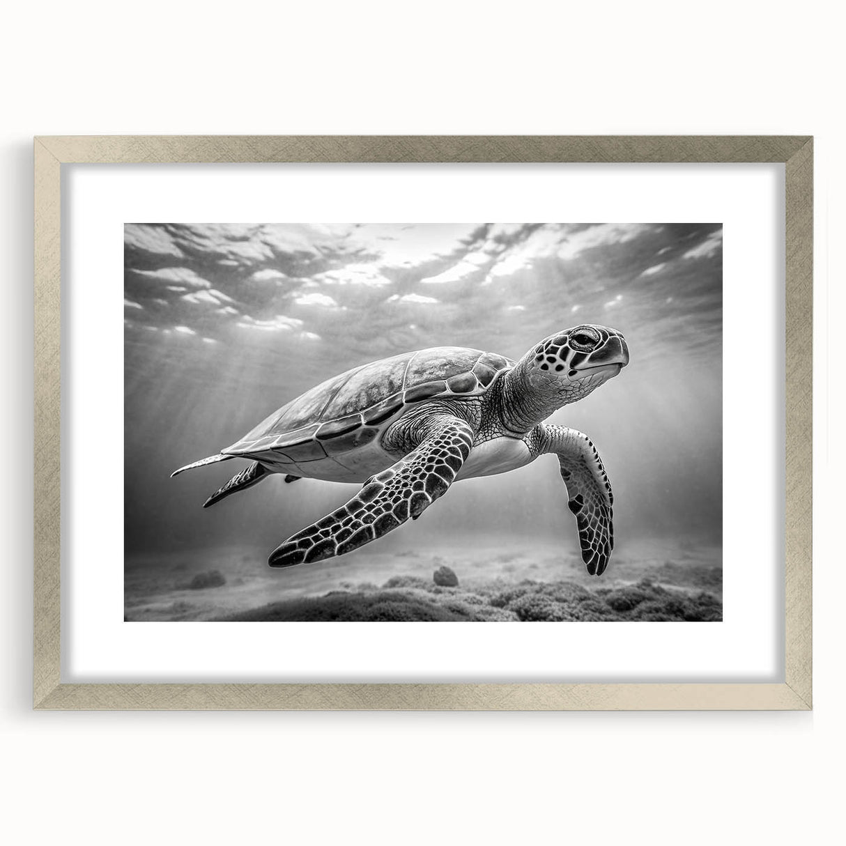 Framed wall art showcasing a marine life turtle design, featuring a silver frame and mat, perfect for ocean-themed decor in living spaces.