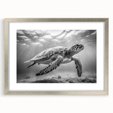 Framed wall art showcasing a marine life turtle design, featuring a silver frame and mat, perfect for ocean-themed decor in living spaces.