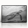 Framed acrylic wall art featuring a vibrant marine life turtle design, showcasing rich colors and intricate details, perfect for ocean-themed decor.
