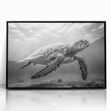 Framed acrylic wall art featuring a vibrant marine life turtle design, showcasing rich colors and intricate details, perfect for ocean-themed decor.