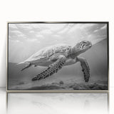 Framed acrylic wall art showcasing a vibrant marine life turtle design with silver accents, perfect for coastal home decor. Ideal for ocean enthusiasts and art lovers.
