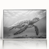 Framed wall art featuring a vibrant marine life design showcasing a sea turtle, set against a white background, perfect for ocean-themed decor.