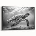 Framed canvas wall art featuring a vibrant marine life design of a turtle, showcasing intricate details and a sleek black frame, perfect for ocean-themed decor.