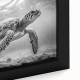 Close-up of a framed canvas wall art piece featuring a vibrant marine life turtle design, showcasing intricate details and rich colors, perfect for ocean-themed decor.
