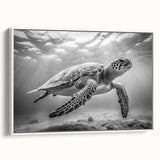 Framed canvas wall art showcasing a vibrant marine life turtle design in a coastal setting, featuring a white frame and vivid colors, perfect for ocean-themed decor.