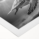 Vibrant rolled canvas depicting a marine life design featuring a colorful turtle swimming through coral reefs, ideal for ocean-themed decor and nature enthusiasts.