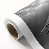 Colorful rolled canvas wall art depicting a serene marine life scene with a turtle swimming among coral reefs, ideal for ocean-themed decor.