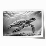 Colorful marine life wall art featuring a turtle design, printed on high-quality rolled canvas, perfect for ocean-themed home decor or gifts.