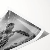 Colorful marine life artwork featuring a turtle design, printed on high-quality rolled paper, ideal for ocean-themed decor and eco-conscious interiors. Perfect for nature lovers and aquatic art enthusiasts.