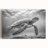 Vibrant stretched canvas wall art featuring a detailed marine life design of a sea turtle, showcasing rich colors and textures, perfect for ocean-themed decor.