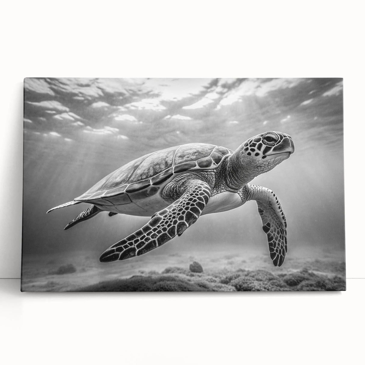 Stretched canvas wall art featuring a vibrant marine life design with a turtle motif, showcasing intricate details and rich colors, perfect for ocean-themed decor.