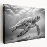 Stretched canvas wall art featuring a vibrant marine life design showcasing a detailed turtle in shades of blue and green, ideal for ocean-themed decor.