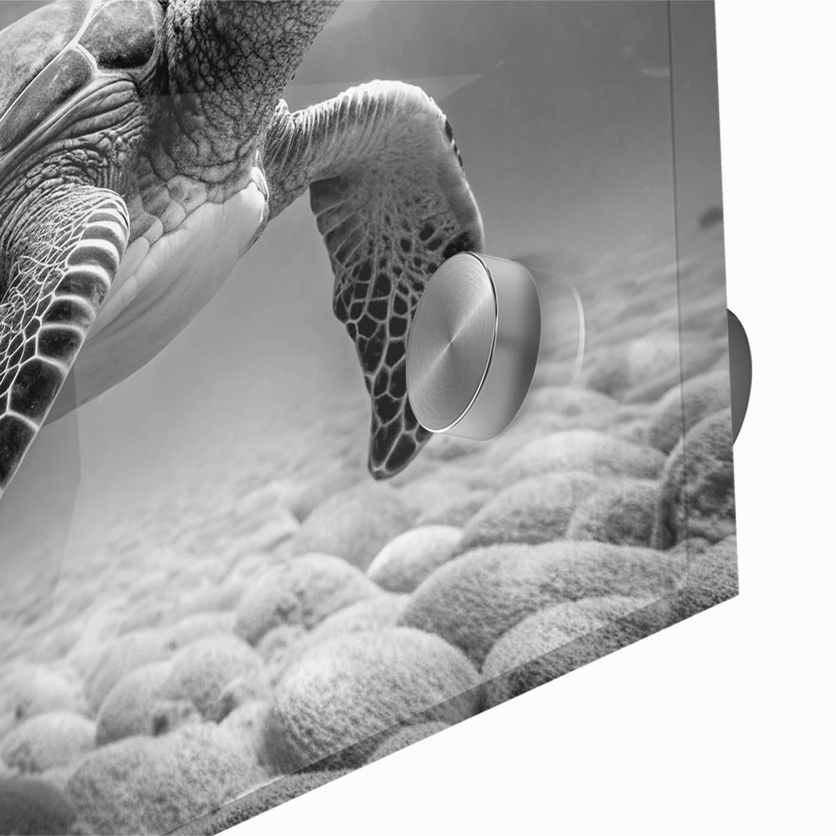 Close-up of a vibrant marine life wall art piece featuring a turtle design, showcasing intricate details and colors, ideal for ocean-themed decor. This acrylic glass artwork adds a touch of nature and elegance to any space.