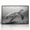 Framed acrylic wall art featuring a vibrant marine life turtle design, showcasing intricate details and bright colors against a sleek black frame. Perfect for ocean-themed decor.