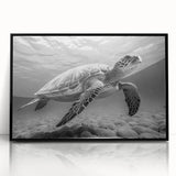 Framed acrylic wall art featuring a vibrant marine life turtle design, showcasing intricate details and bright colors against a sleek black frame. Perfect for ocean-themed decor.