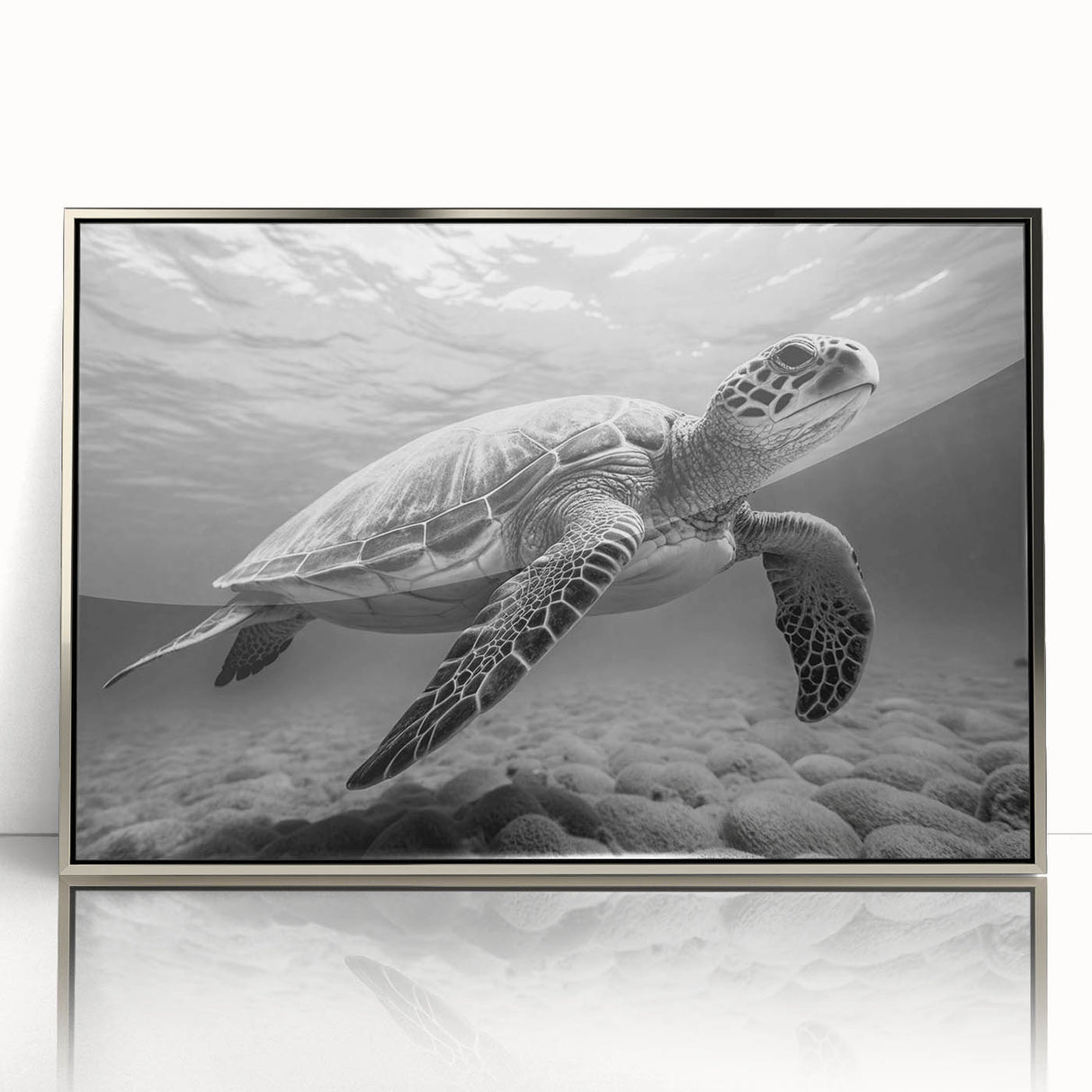 Framed wall art featuring a marine life design with a turtle, showcased in a sleek silver frame and acrylic front, perfect for ocean-themed decor.