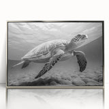 Framed wall art featuring a marine life design with a turtle, showcased in a sleek silver frame and acrylic front, perfect for ocean-themed decor.
