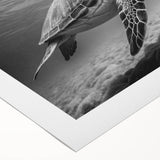 Vibrant rolled canvas wall art depicting a serene sea turtle design, showcasing intricate marine life details with a calming blue and green color palette. Perfect for ocean-themed decor.