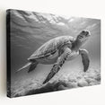 Stretched canvas wall art showcasing a vibrant marine life design featuring a sea turtle, perfect for ocean-themed home decor. Ideal for adding a coastal touch.