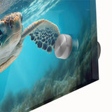 Close-up of vibrant marine life wall art showcasing a turtle design on acrylic glass, highlighting intricate details and vivid colors for ocean-themed decor.