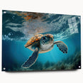 Acrylic glass wall art showcasing a vibrant marine life turtle design, elegantly displayed from the side with decorative pins, perfect for ocean-themed decor.