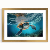 Marine life wall art featuring a detailed turtle design in a gold frame with a mat, ideal for ocean-themed decor. Perfect for nature lovers and beach homes.
