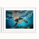 Framed wall art piece showcasing a marine life design featuring a vibrant turtle illustration, set in a white mat frame, ideal for coastal-themed decor.