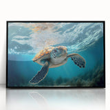 Framed wall art featuring a marine life turtle design, showcasing vibrant colors on acrylic with a sleek black frame, perfect for ocean-themed decor.