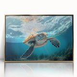 Framed wall art showcasing a colorful marine life design featuring a turtle, set in a sleek acrylic frame with a gold finish, perfect for ocean-themed decor.
