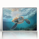 Framed wall art featuring a vibrant marine life turtle design on an acrylic surface, presented in a sleek white frame, perfect for ocean-themed decor.