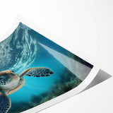 Vibrant marine life wall art featuring a beautifully illustrated turtle design, perfect for ocean-themed decor. This rolled print captures intricate details and bright colors, ideal for enhancing any living space or gallery wall.