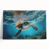 Stretched canvas wall art showcasing a vibrant marine life design with a turtle, perfect for coastal-themed decor. Ideal for living rooms or nurseries.