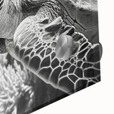 Close-up of a vibrant marine life wall art design showcasing a detailed turtle illustration on acrylic glass, perfect for ocean-themed decor.