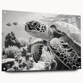 Side view of a marine life turtle wall art piece made from acrylic glass, showcasing vibrant colors and intricate designs, ideal for ocean-themed decor.