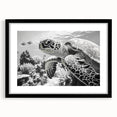 Framed wall art featuring a vibrant marine life design of a turtle, with a black frame and mat, perfect for ocean-themed decor and nature enthusiasts.