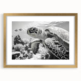 Framed wall art showcasing a beautiful marine life design featuring a turtle, with a gold frame and mat, ideal for ocean-themed decor in any setting.