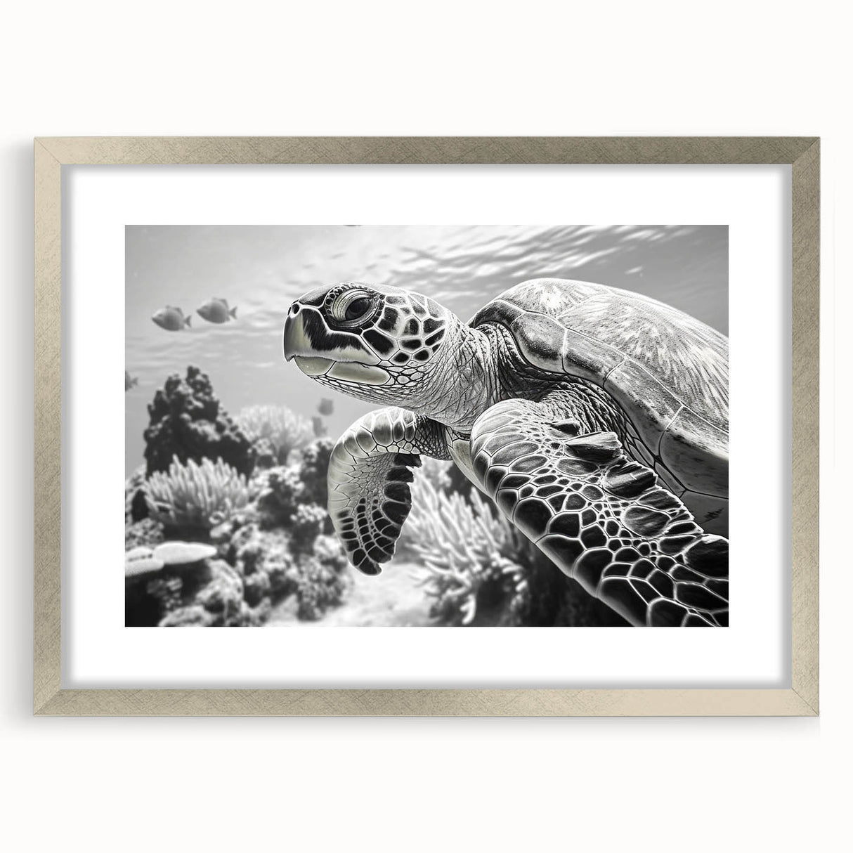 Framed wall art featuring a marine life design with a turtle motif, presented in a sleek silver frame with a mat. Ideal for ocean-themed decor and nature lovers.