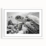 Framed wall art collection showcasing a marine life turtle design with a white mat and frame, perfect for coastal-themed decor, highlighting ocean conservation.